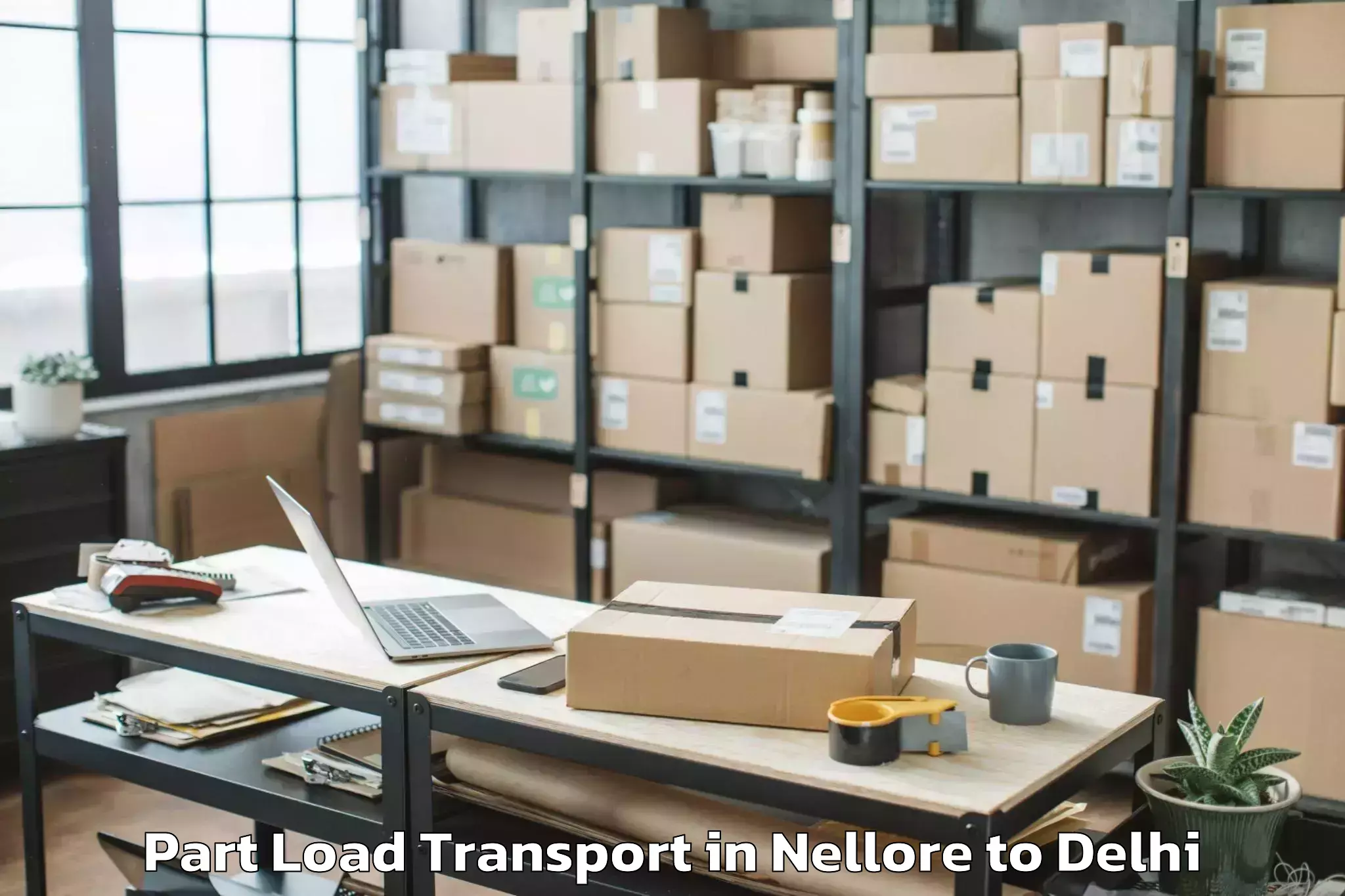 Top Nellore to Karol Bagh Part Load Transport Available